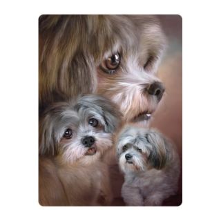 Obrázek z Pohlednice 3D 16cm - pes lhasa apso (25) 